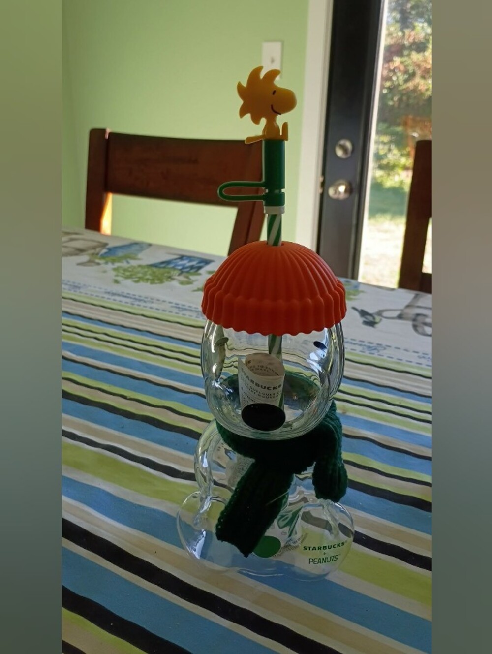 Starbucks And Peanuts Snoopy Cup